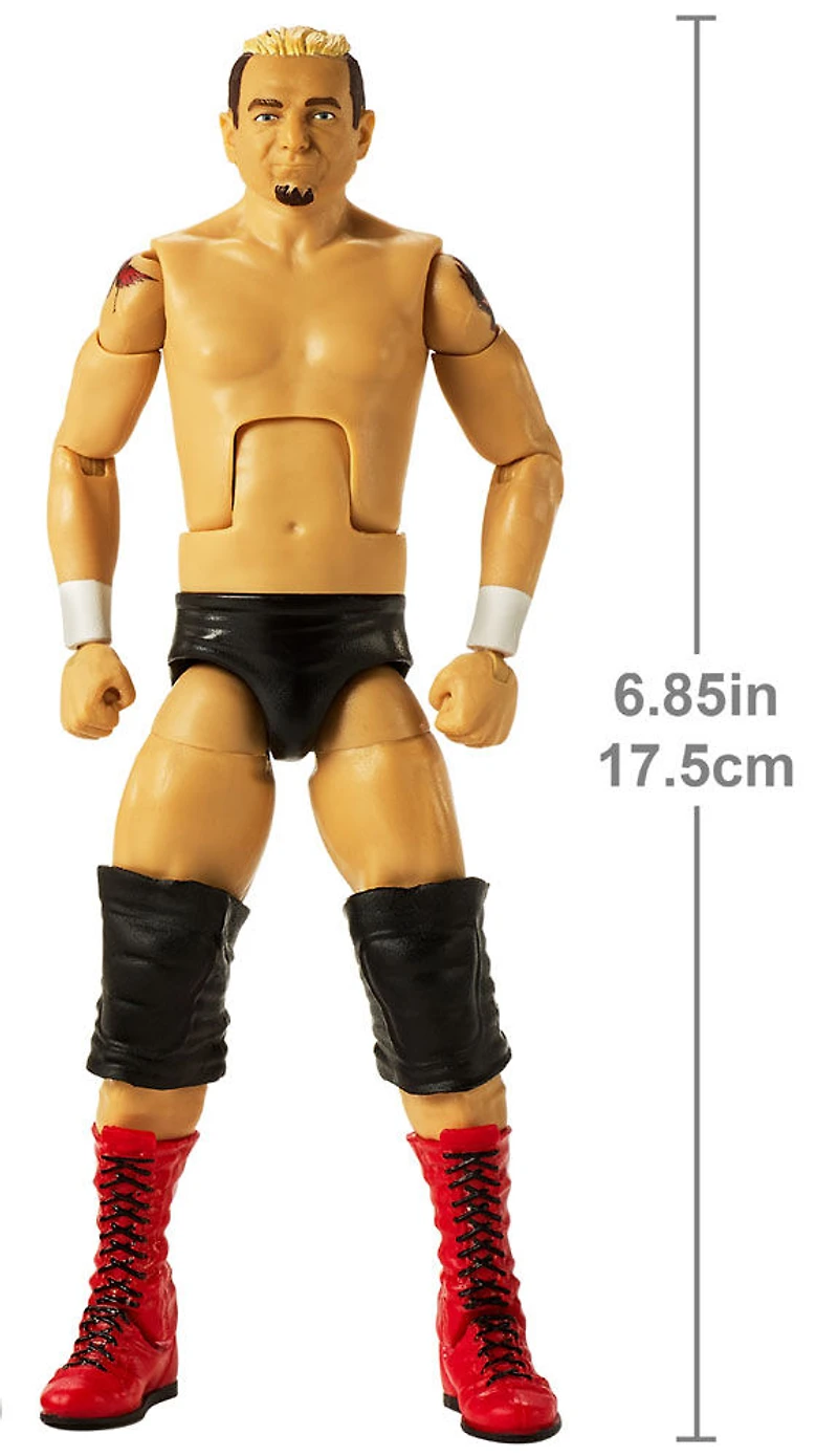 WWE Elite Collection James Ellsworth Action Figure