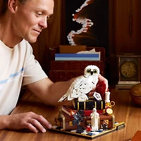 LEGO Harry Potter L'École des Sorciers - Édition de Collection - Ensemble de Construction à Exposer 76466