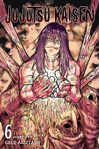 Jujutsu Kaisen, Vol. 6 - English Edition