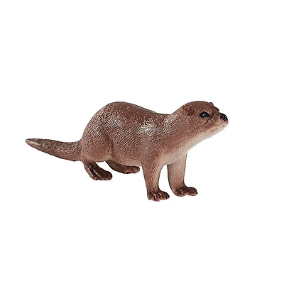 ALEX - Loutre Commune - Moyenne