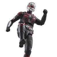 Hasbro Marvel Legends Series Ant-Man, Ant-Man et la Guêpe : Quantumania, figurine articulée de 15 cm