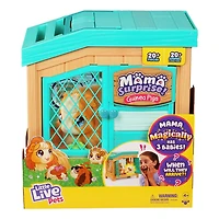 Little Live Pets Ensemble De Jeu Mama Surprise