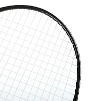 Ensemble de Badminton Danaplay