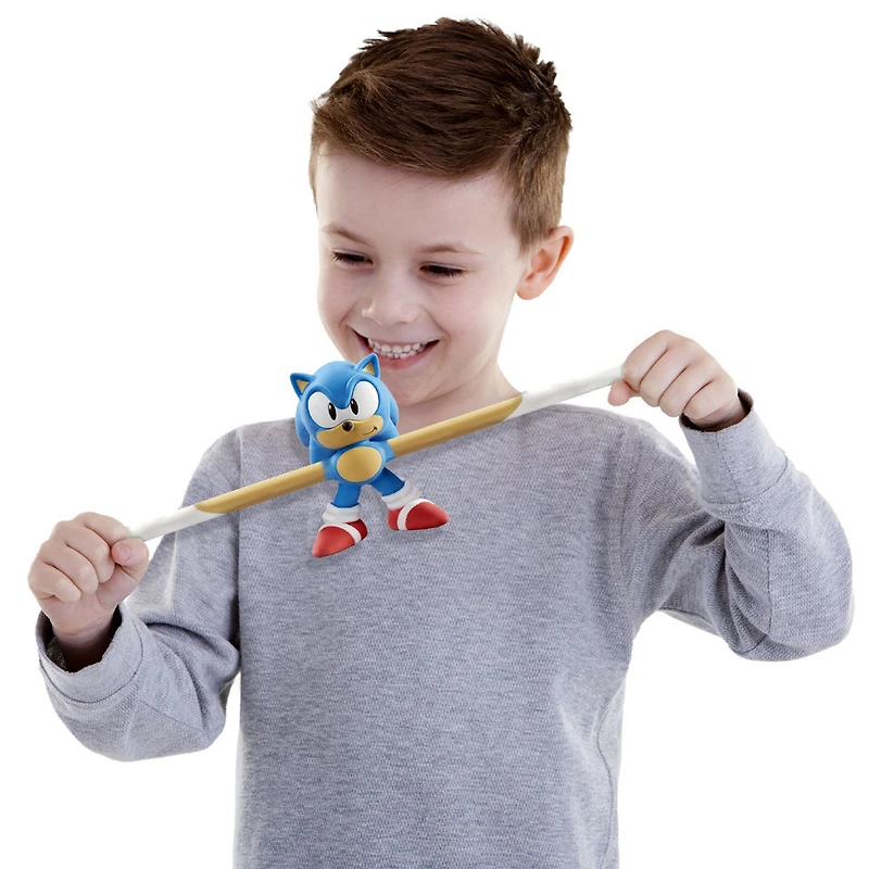 Héros De Goo Jit Zu Sonic Hero Pk