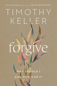 Forgive - English Edition