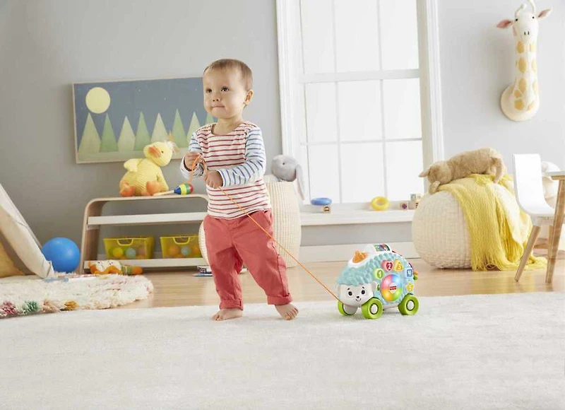 Fisher-Price Linkimals Happy Shapes Hérisson - Version Française