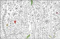 Usborne Minis: Colouring Book Garden With Rub-Down Transfers - Édition anglaise