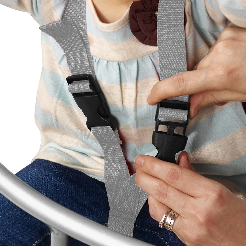 Radio Flyer - Tricycle de luxe 4-en-1 “Promenade 'N Trike” - Rose - Notre exclusivité