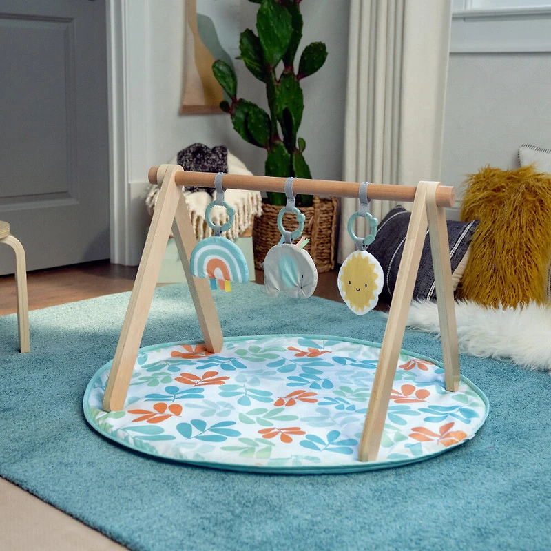 ITY by Ingenuity Sun Valley Wooden Toy Arch & Play Mat