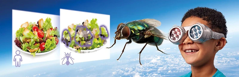 Brainstorm Toys See the World Through Others' Eyes