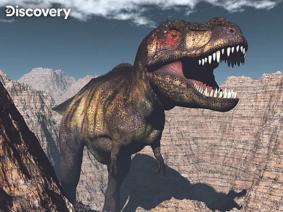 Discovery Dinosaur 100Pc Casse-Tête