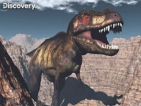 Discovery Dinosaur 100Pc Casse-Tête