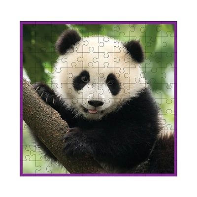 WWF 100 pc. Puzzle - Panada - Édition anglaise