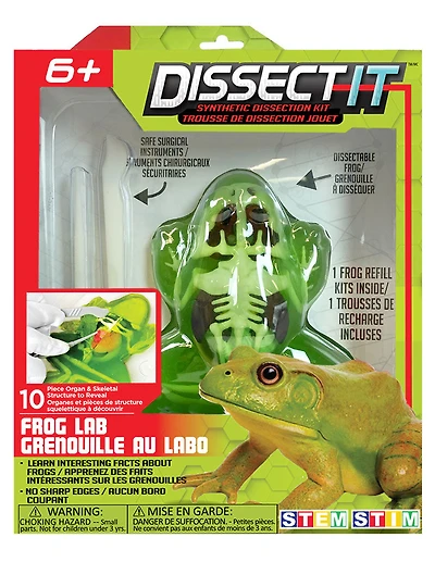 Labo de dissection de grenouille