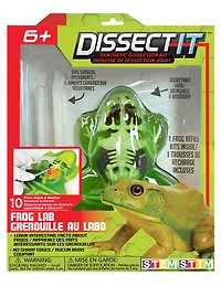 Labo de dissection de grenouille