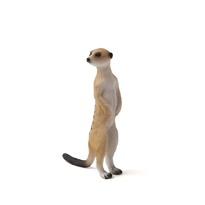 ALEX - Suricate - Petit