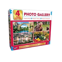 Assortiment De Casse-Têtes De Galerie D'Art/Photo 4 En 1