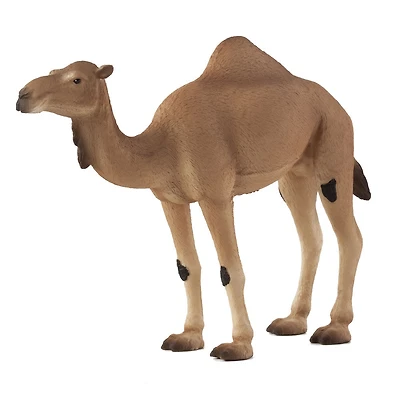 ALEX - Arabian Camel - Extra Large