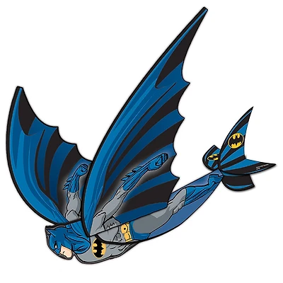 X Kites - Cerf-volant planeur FlexWing 16 po