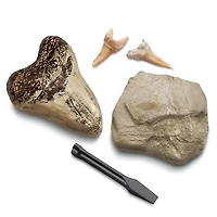 Toy Excavation Kit Mini Shark Tooth 2pc