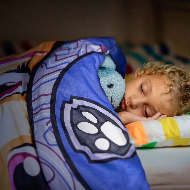 Hush Blanket 5Lb - Paw Patrol Chase - Édition anglaise