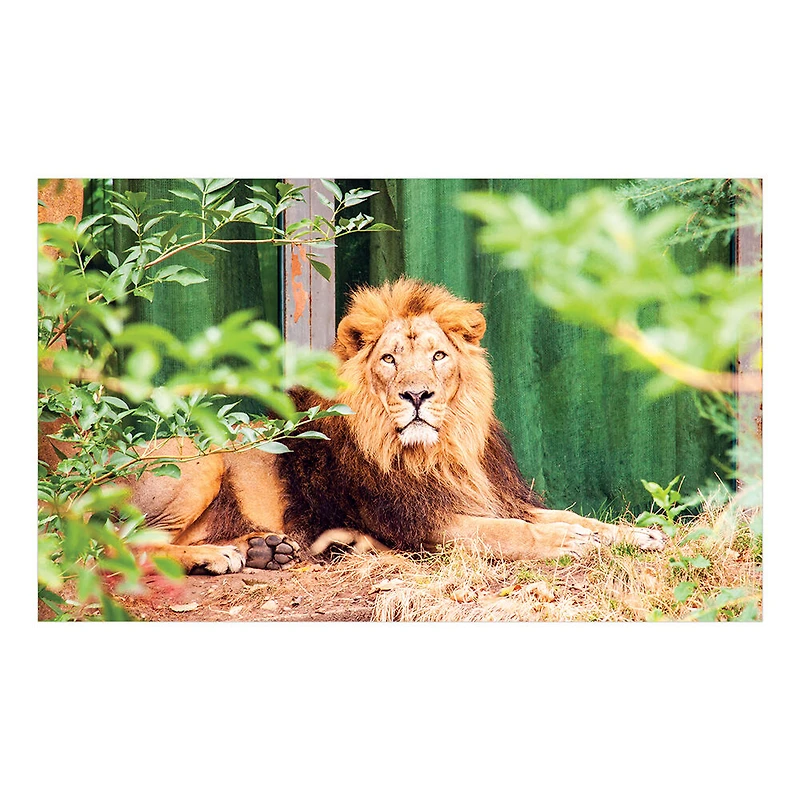 Sure-Lox 4 In 1 Art Gallery Multipack Puzzles