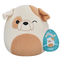 Squishmallows 7,5" - Brock Winking Bulldog avec ventre flou