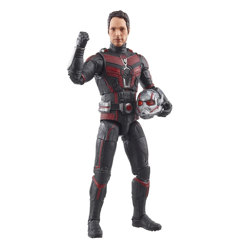 Hasbro Marvel Legends Series Ant-Man, Ant-Man et la Guêpe : Quantumania, figurine articulée de 15 cm