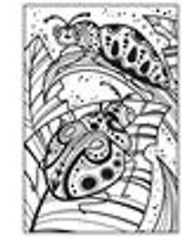 Usborne Minis: Magic Painting Bugs - English Edition