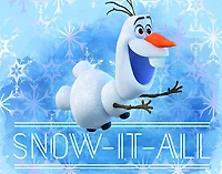 Ceaco Disney Classics 5 in 1 Multi Pack Puzzles Frozen 2