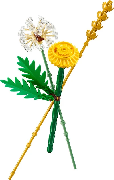 LEGO Botanicals Les fleurs des champs, ensemble de construction 30701