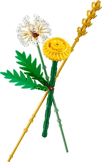 LEGO Botanicals Les fleurs des champs, ensemble de construction 30701
