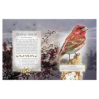 The Little Book of Woodland Bird Songs  - Édition anglaise