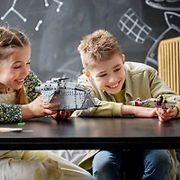 LEGO Star Wars Embuscade sur Ferrix 75338, Ensemble de construction (679 pièces)