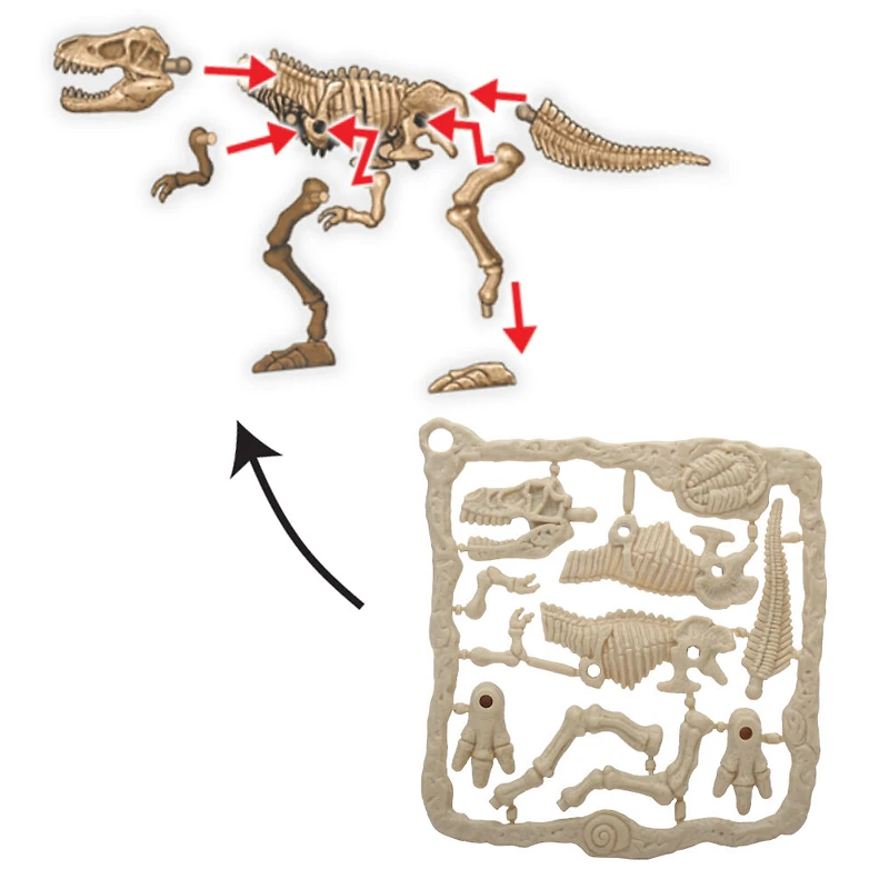 Animal Planet - Ensemble de Vehicules de capture de dinosaures