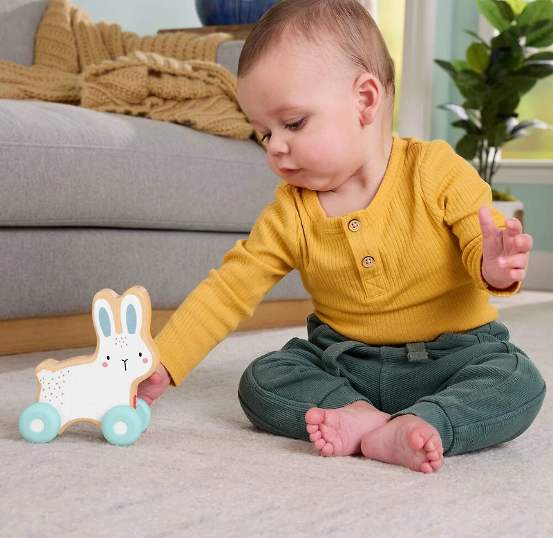 Fisher-Price Wooden Push-Along Bunny