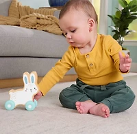 Fisher-Price Wooden Push-Along Bunny