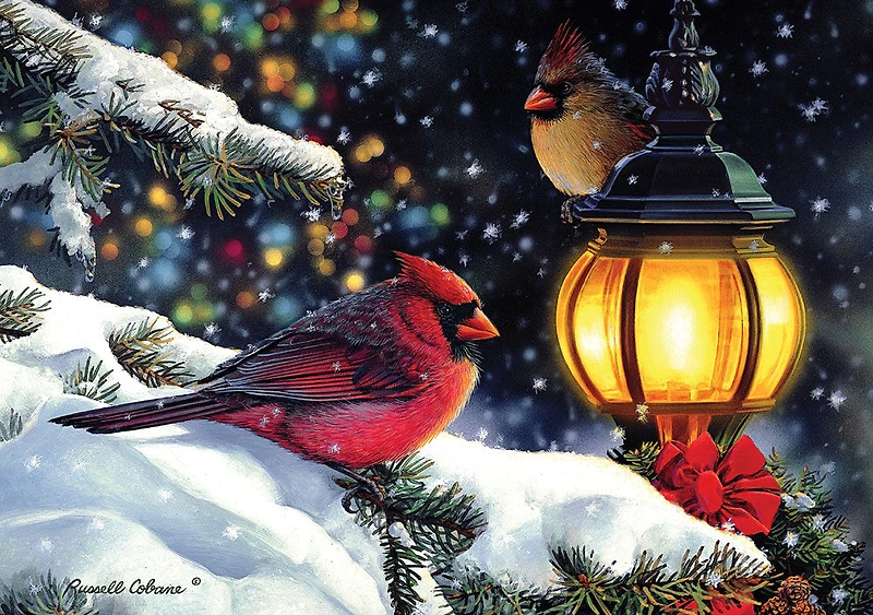 Casse-têtes de 1000 morceaux