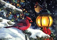 Casse-têtes de 1000 morceaux