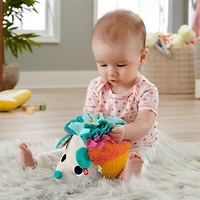 Fisher-Price - Mon petit hérisson sensoriel