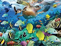 Howard Robinson - The Journey Begins - 500 pc Casse-tête Super 3D