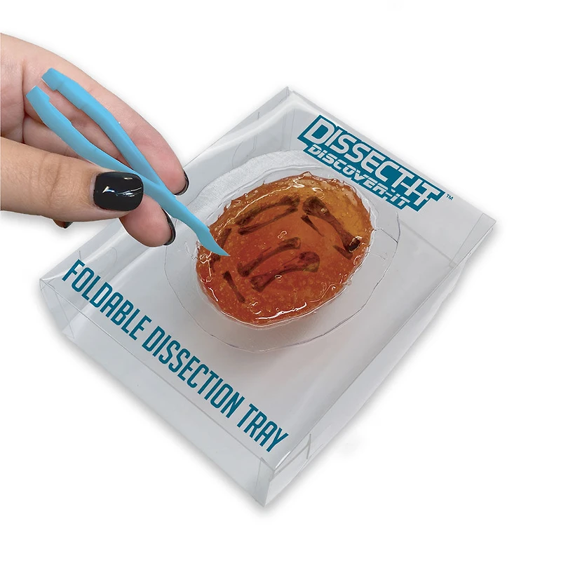 Dissect It - Discover It- Synthetic Owl Pellet Lab