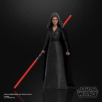Star Wars The Black Series Rey (Dark Side Vision) Toy