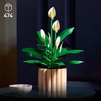 LEGO Botanicals La Fleur de Lune, Ensemble de Construction pour Adultes, Idée-Cadeau 11504