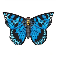 Butterfly Kite - Blue