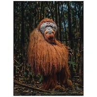 Photographers Collection - 1000 pc. Puzzle