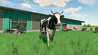 Playstation 4-Farming Simulator 22