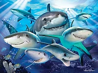 Howard Robinson - Requin 100 pcs 3D Puzzle