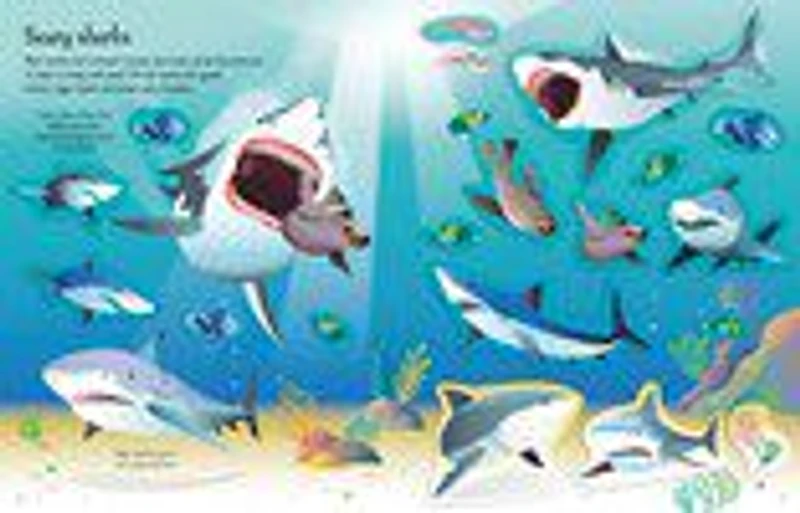 First Sticker Book Sharks and Rays - English Edition