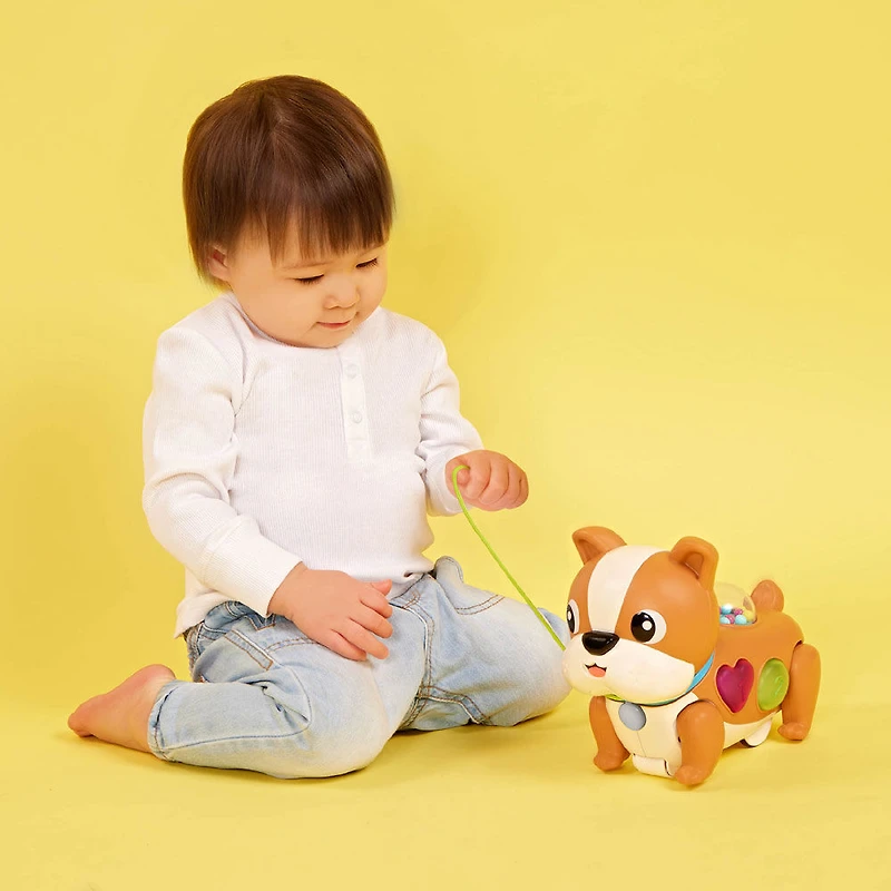 B. toys - Promenez-vous avec le chiot